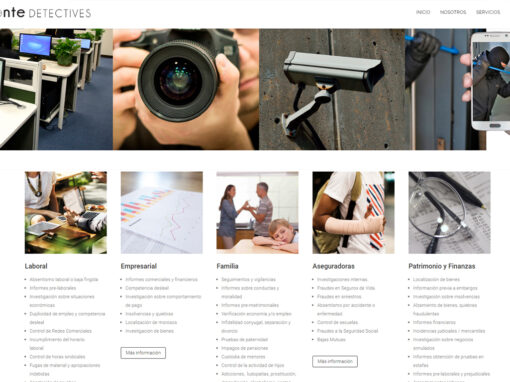 Web de Cionte Detectives